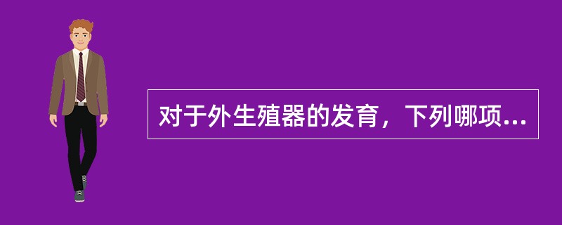 对于外生殖器的发育，下列哪项恰当（）