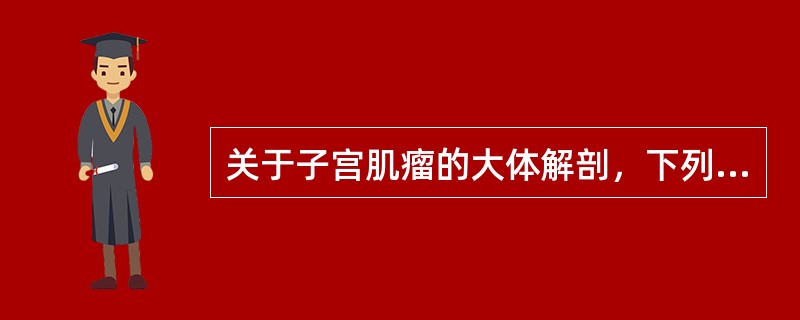 关于子宫肌瘤的大体解剖，下列哪项正确（）