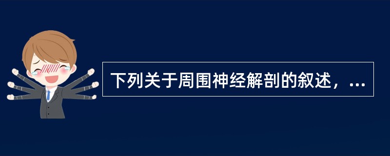 下列关于周围神经解剖的叙述，错误的是（）