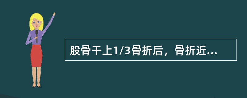 股骨干上1/3骨折后，骨折近端骨因肌肉收缩牵拉其移位方向为（）