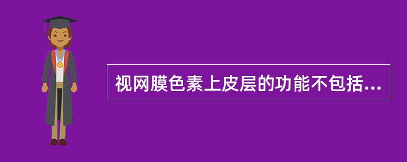 视网膜色素上皮层的功能不包括（）