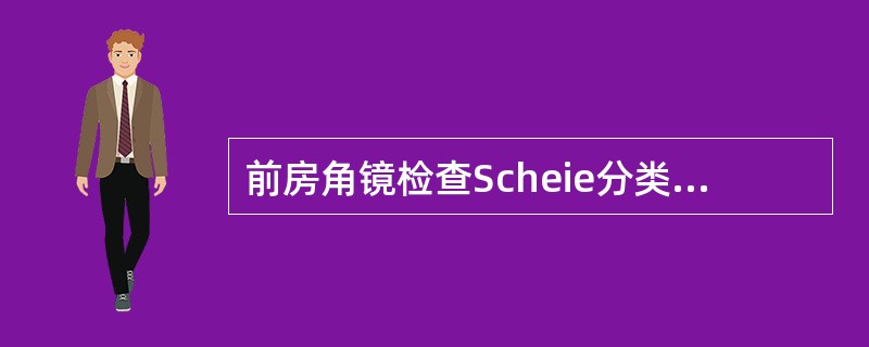 前房角镜检查Scheie分类法中，静态观察看不到小梁，在动态下也看不到小梁网，仅见Schwalbe线属于（）