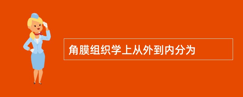 角膜组织学上从外到内分为