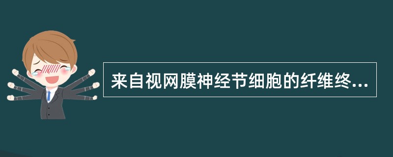 来自视网膜神经节细胞的纤维终止于