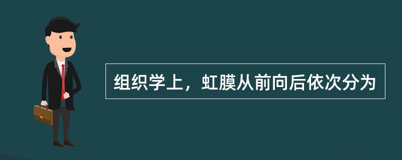 组织学上，虹膜从前向后依次分为