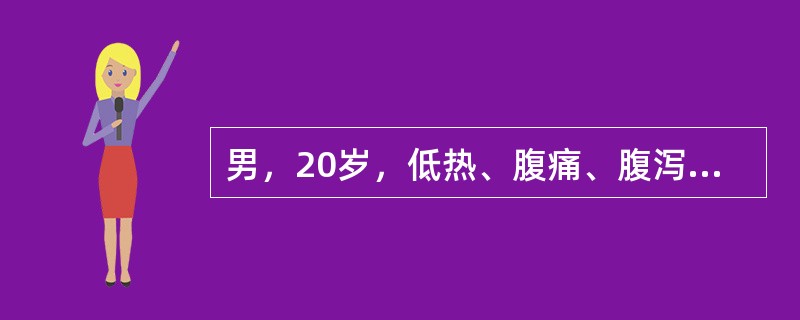 男，20岁，低热、腹痛、腹泻伴腹胀3个月。查体：腹壁揉面感，腹部移动性浊音阳性。腹水为草黄色渗出液。为明确诊断，下列哪项检查最有价值