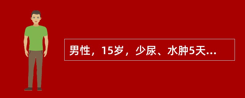 男性，15岁，少尿、水肿5天，咳嗽气短不能平卧1天，起病前2周喉痛3天，血压170／110mmHg，端坐呼吸，两肺底有散在湿啰音，尿比重1．022，尿蛋白(+++)，红细胞30～90个／HP，血清补体