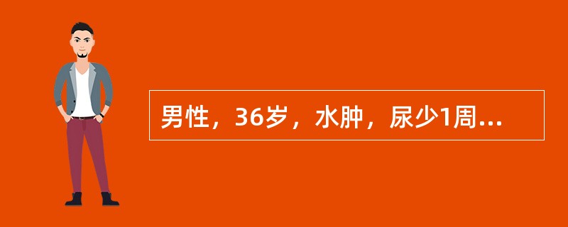 男性，36岁，水肿，尿少1周，血压120／80mmHg，尿常规：蛋白(++++)，血浆白蛋白25g／L，24小时尿蛋白定量为9g<br />主要的治疗是