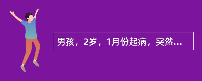 男孩，2岁，1月份起病，突然高热、呕吐、烦躁8小时，伴皮肤疹2小时住院。体检：面色青灰，脑膜刺激征阴性，臀部及四肢见大量瘀斑，四肢厥冷、皮肤发绀、有大理石花纹，脉搏细速，血压下降，诊断为暴发型流行性脑