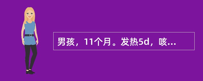 男孩，11个月。发热5d，咳嗽2d，稀便1～2次，左下肢不会活动半天，诊断为脊髓灰质炎。有关脊髓灰质炎瘫痪的恢复，以下哪项是错误的（）