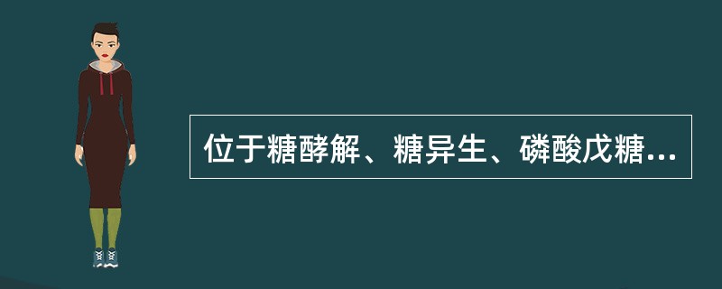 位于糖酵解、糖异生、磷酸戊糖途径、糖原合成和糖原分解各条代谢途径交汇点上的化合物是