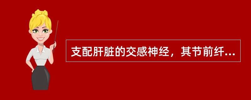 支配肝脏的交感神经，其节前纤维来源于（）