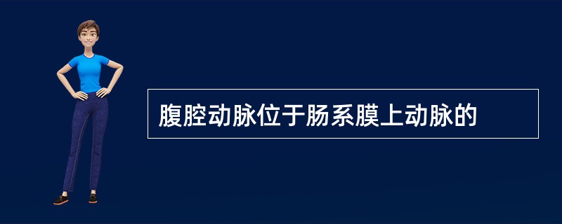 腹腔动脉位于肠系膜上动脉的