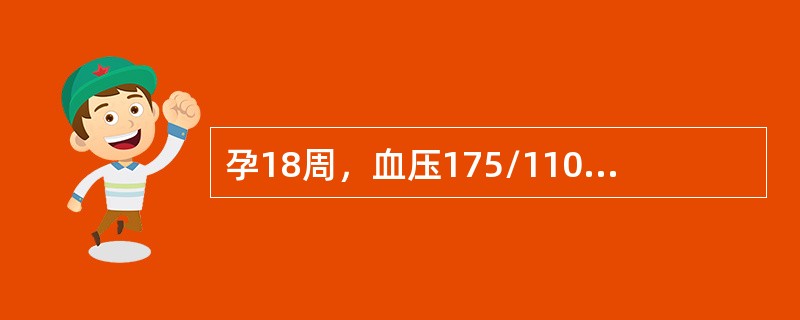 孕18周，血压175/110mmHg，尿蛋白（++），血肌酐＞265.2μmolL（）