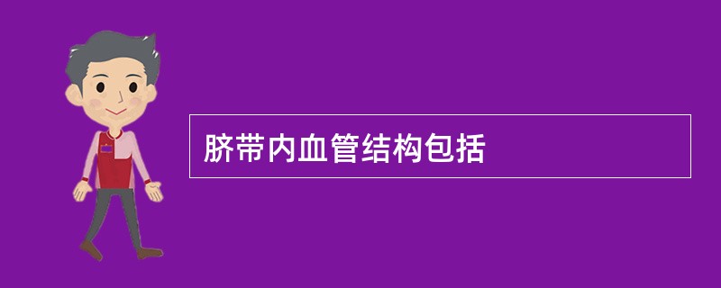 脐带内血管结构包括