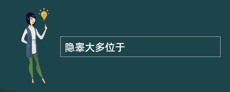 隐睾大多位于