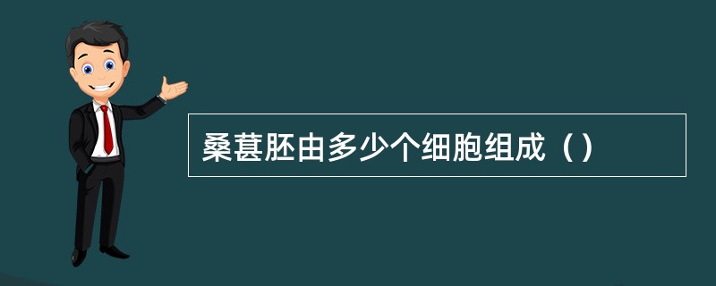 桑葚胚由多少个细胞组成（）