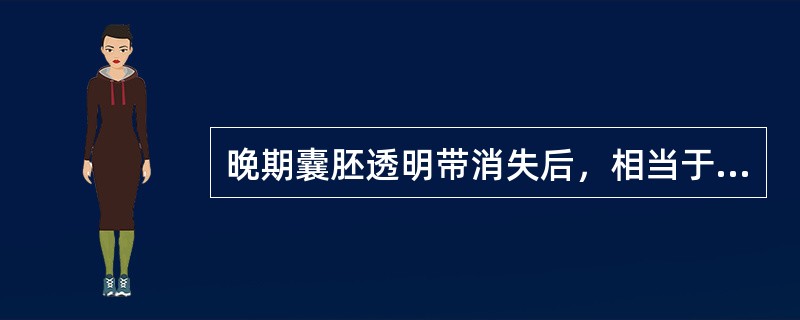 晚期囊胚透明带消失后，相当于受精后第几日开始着床（）