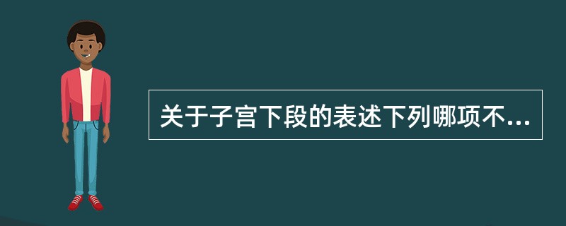 关于子宫下段的表述下列哪项不正确（）
