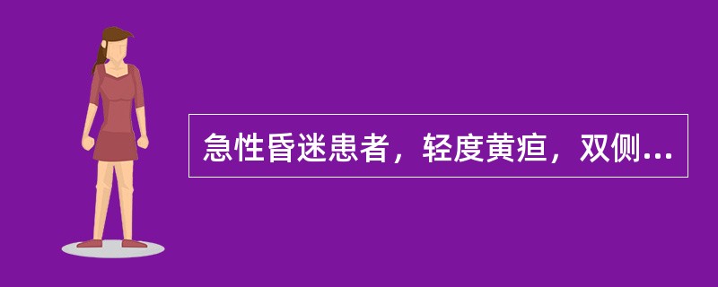 急性昏迷患者，轻度黄疸，双侧肢体肌张力对称性增高，瞳孔等大，尿蛋白及糖定性均阴性，下列哪项最可能()