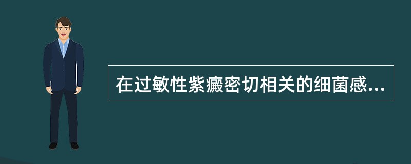 在过敏性紫癜密切相关的细菌感染中，哪种细菌为主