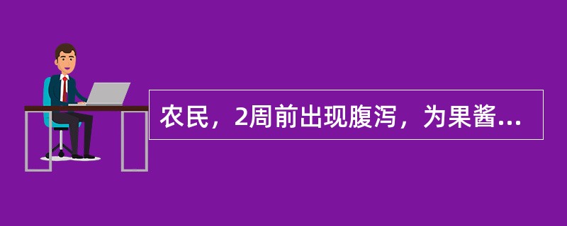 农民，2周前出现腹泻，为果酱样大便，日达7～10次，伴右下腹部压痛，无发热，无里急后重，大便常规发现夏-雷晶体，诊断是（）