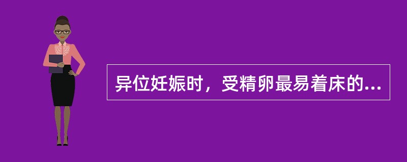 异位妊娠时，受精卵最易着床的部位是（）