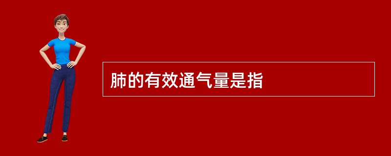 肺的有效通气量是指