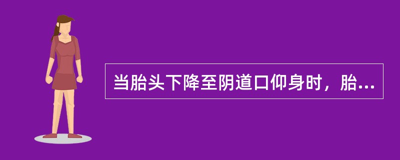 当胎头下降至阴道口仰身时，胎儿双肩径进入（）