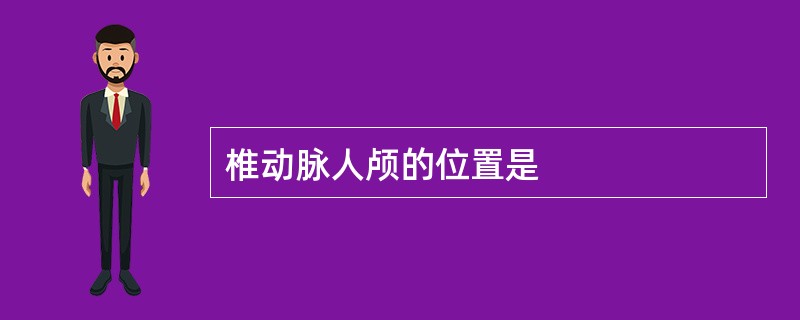 椎动脉人颅的位置是