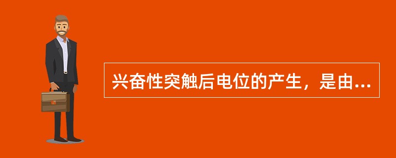 兴奋性突触后电位的产生，是由于突触后膜提高了对下列哪种离子的通透性（）