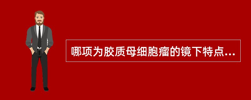 哪项为胶质母细胞瘤的镜下特点（）