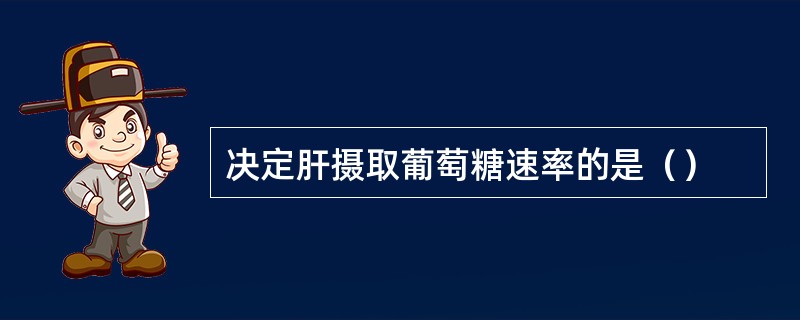 决定肝摄取葡萄糖速率的是（）