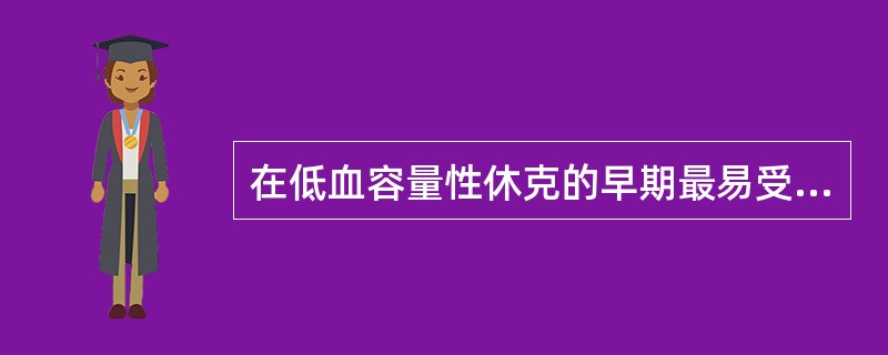 在低血容量性休克的早期最易受损害的器官是