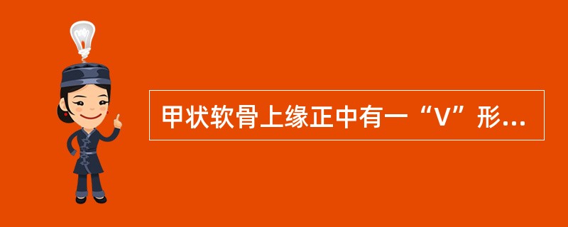 甲状软骨上缘正中有一“V”形凹陷，称为：