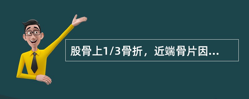 股骨上1/3骨折，近端骨片因肌肉收缩，在X线片上的移位方向为（）