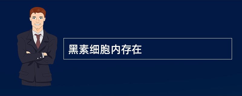 黑素细胞内存在