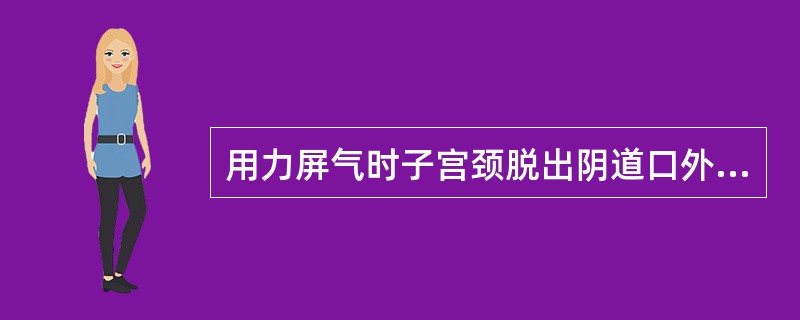 用力屏气时子宫颈脱出阴道口外，临床诊断