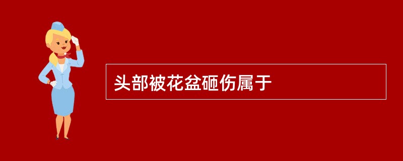 头部被花盆砸伤属于