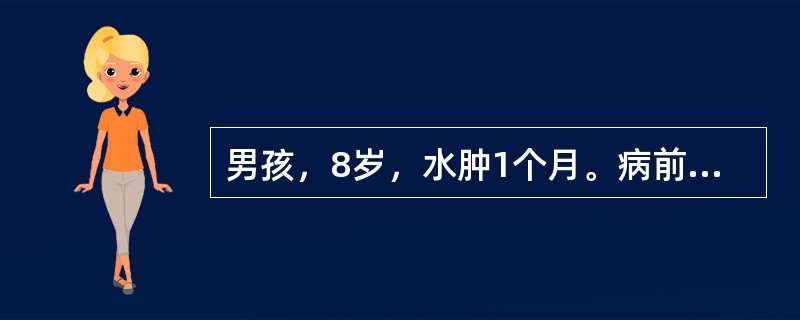男孩，8岁，水肿1个月。病前有发热、咳嗽，尿蛋白+++～++++，红细胞20～30个／HP，血胆固醇9.9mmol／L，白蛋白2.2g／L（）