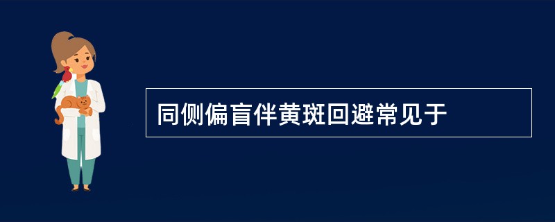 同侧偏盲伴黄斑回避常见于