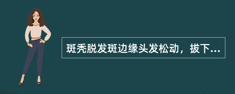 斑秃脱发斑边缘头发松动，拔下的头发在放大镜下观察，可见毛发下段如（）