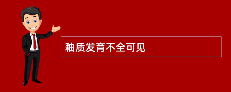 釉质发育不全可见