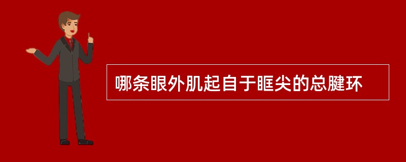 哪条眼外肌起自于眶尖的总腱环