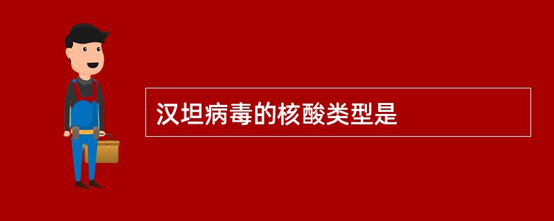 汉坦病毒的核酸类型是