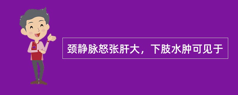 颈静脉怒张肝大，下肢水肿可见于