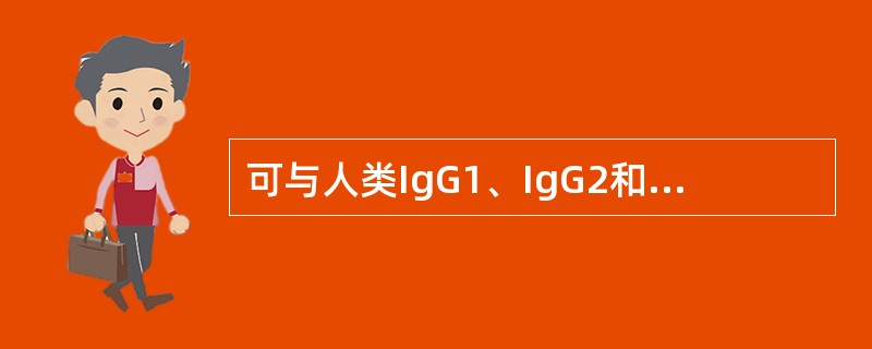 可与人类IgG1、IgG2和IgG4的Fc段发生特异结合的细菌表面蛋白是