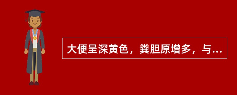 大便呈深黄色，粪胆原增多，与之最有关的是