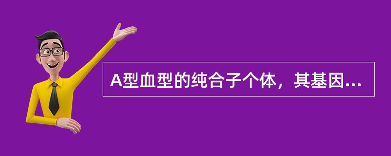 A型血型的纯合子个体，其基因型是