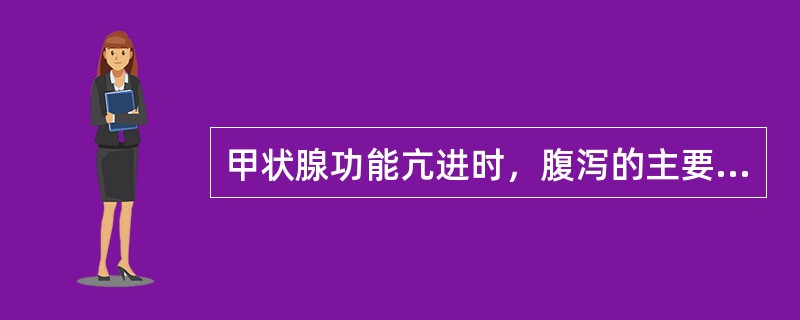 甲状腺功能亢进时，腹泻的主要发生机制是
